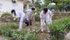 TĂNG CƯỜNG BẢO VỆ MÔI TRƯỜNG, XÂY DỰNG MÔI TRƯỜNG BỆNH VIỆN XANH - SẠCH - ĐẸP