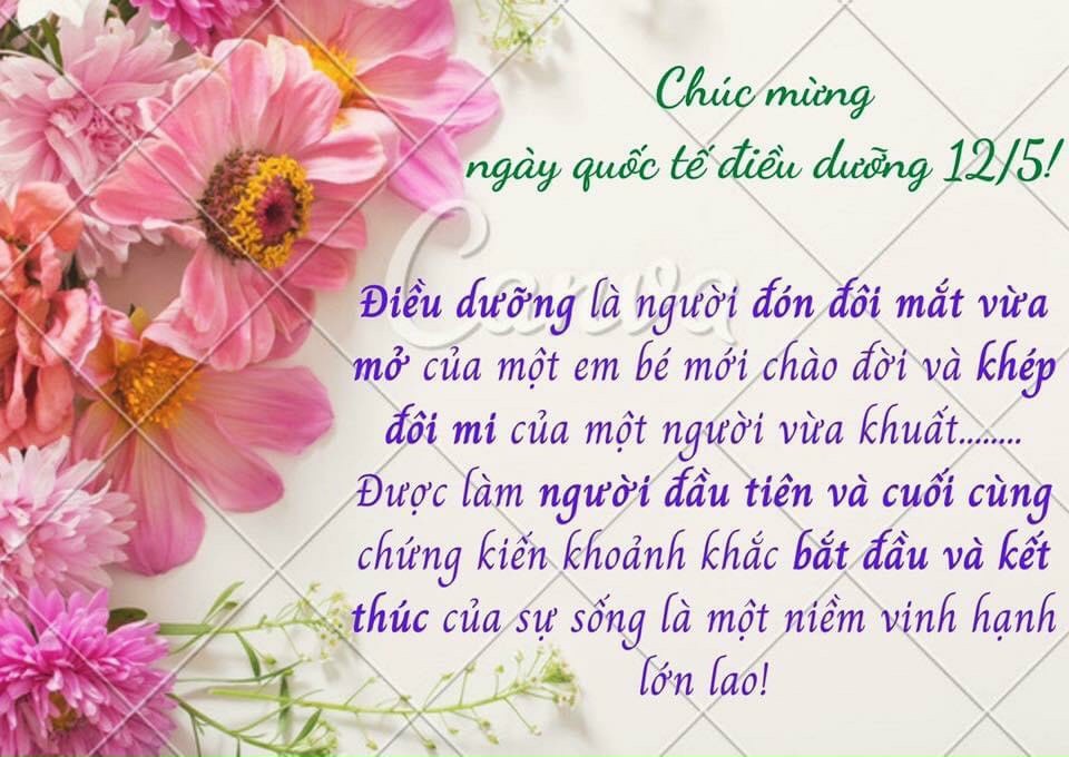 A0A8529C B3FA 41A1 85BF FF29CD59B520